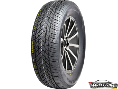 Royal Black Royal Winter HP 185/65 R15 88H