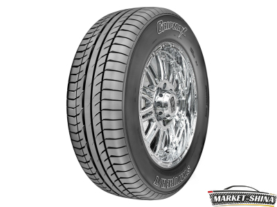 Gripmax Stature H/T 255/65 R17 110H